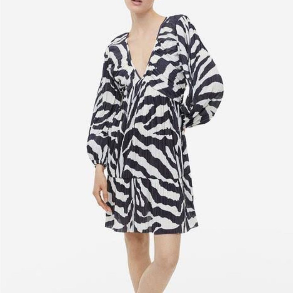 NWT H&M Pleated Dress
